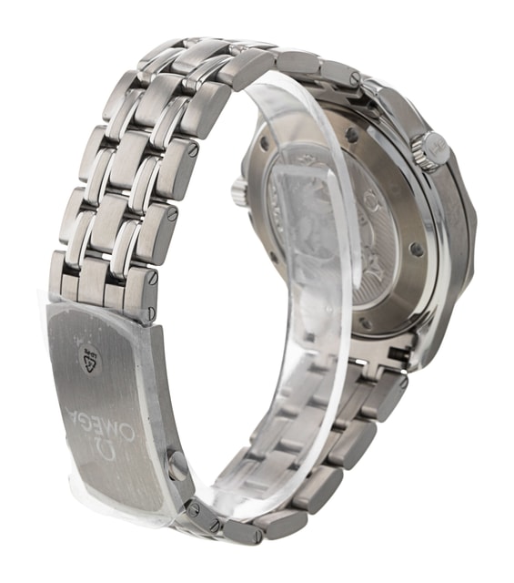 Omega Seamaster 300m 212.30.41.20.03.001 Image 3
